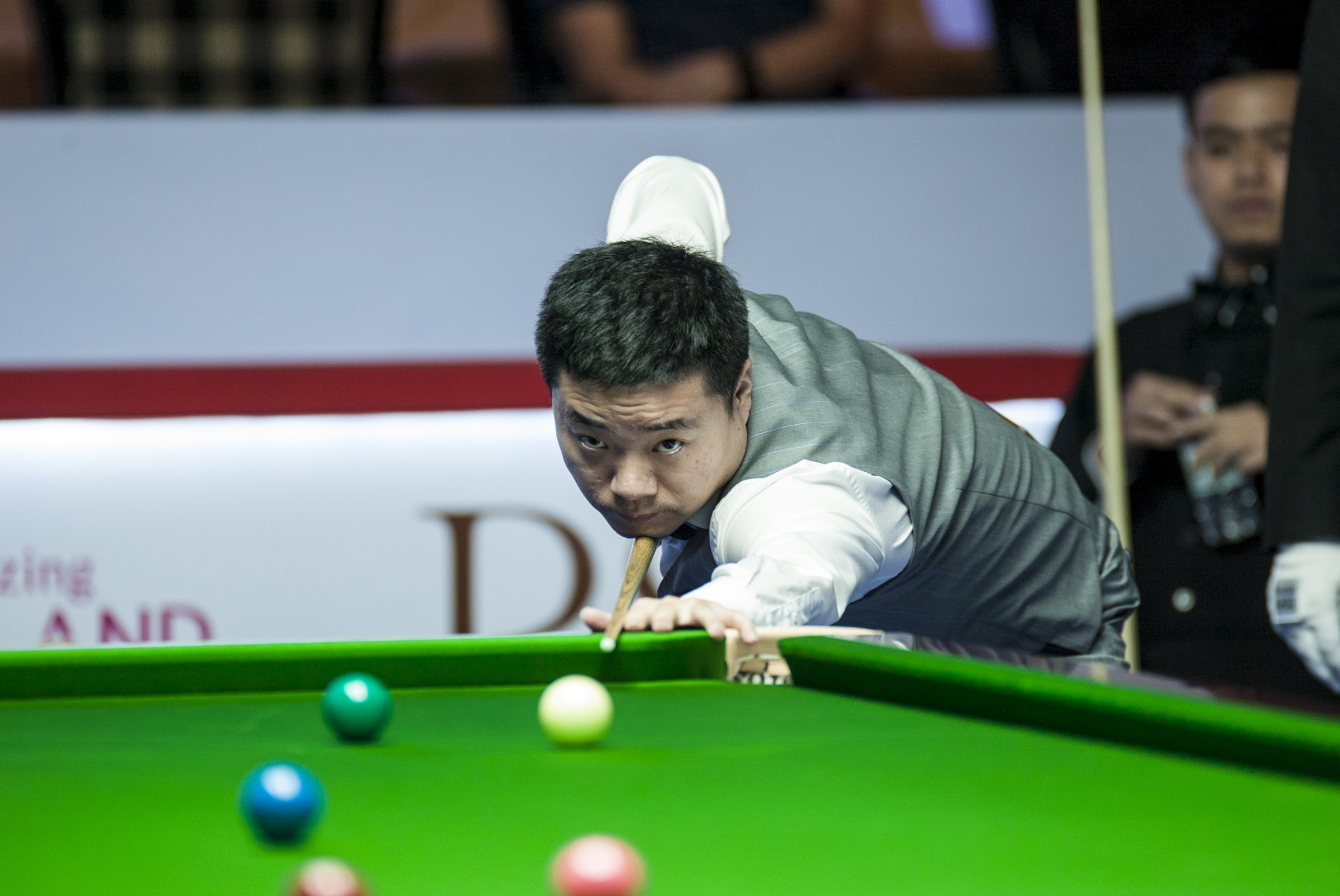 无疑将在此 无疑将在此